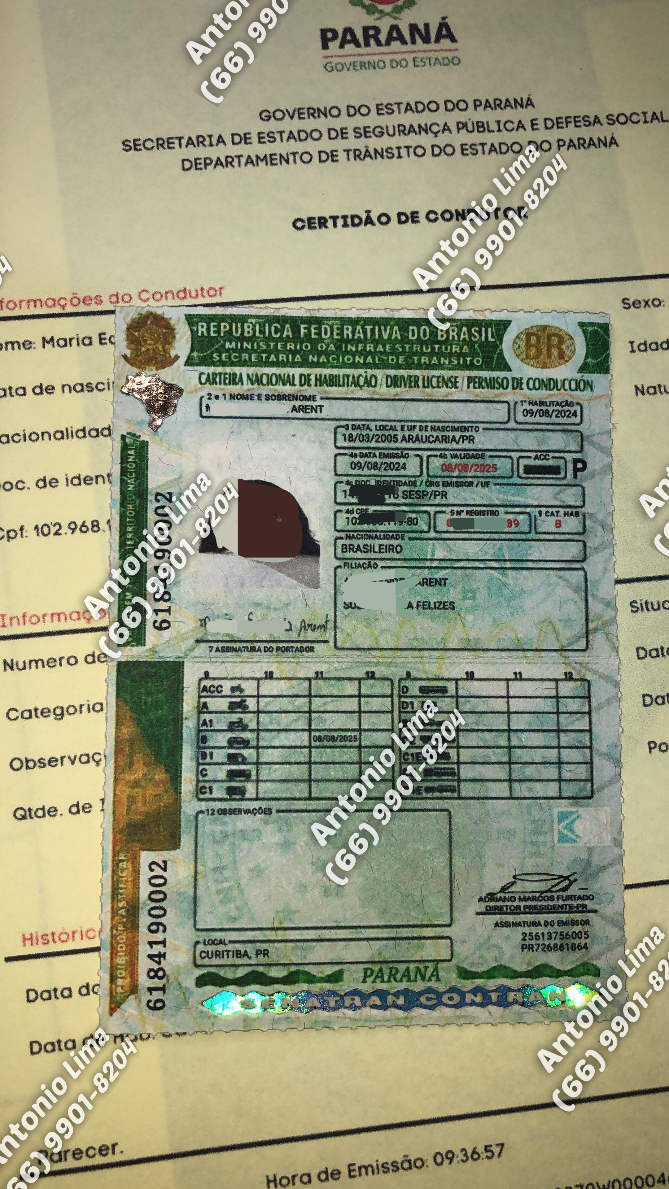 Capa de Agosto de 2024